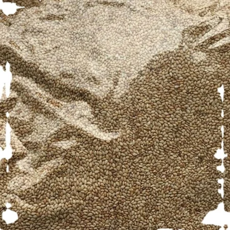 Roasted Sesame Seeds