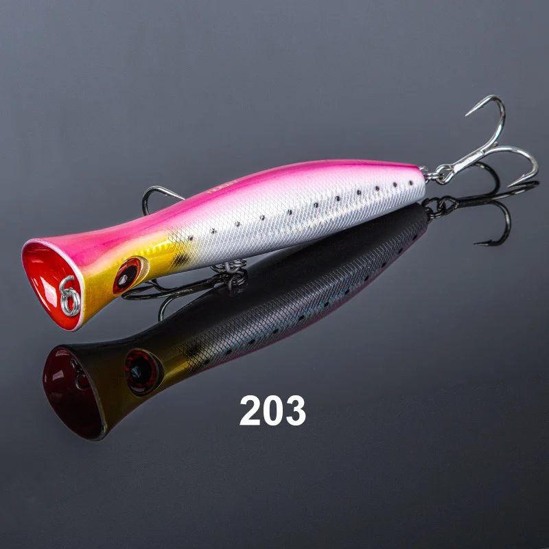 NSB203