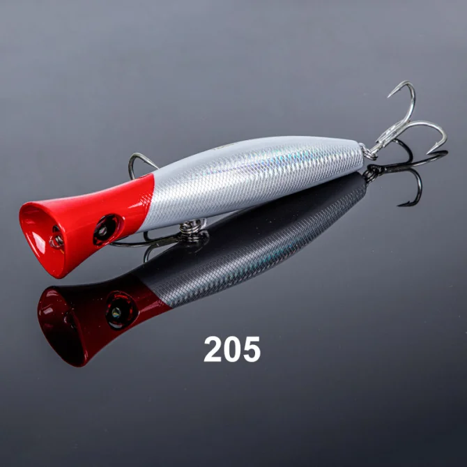 NSB205
