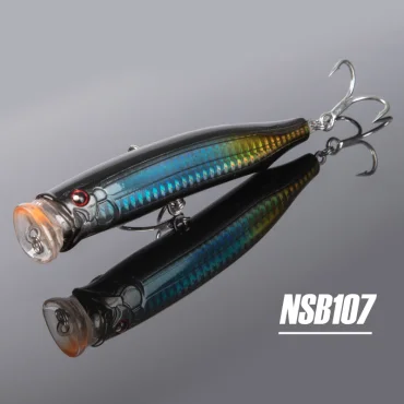 NSB107
