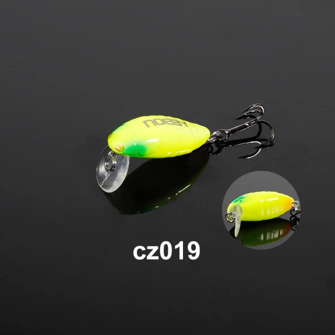 CZ019