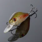 NF004