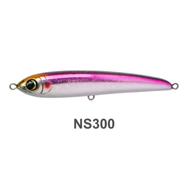 NS300