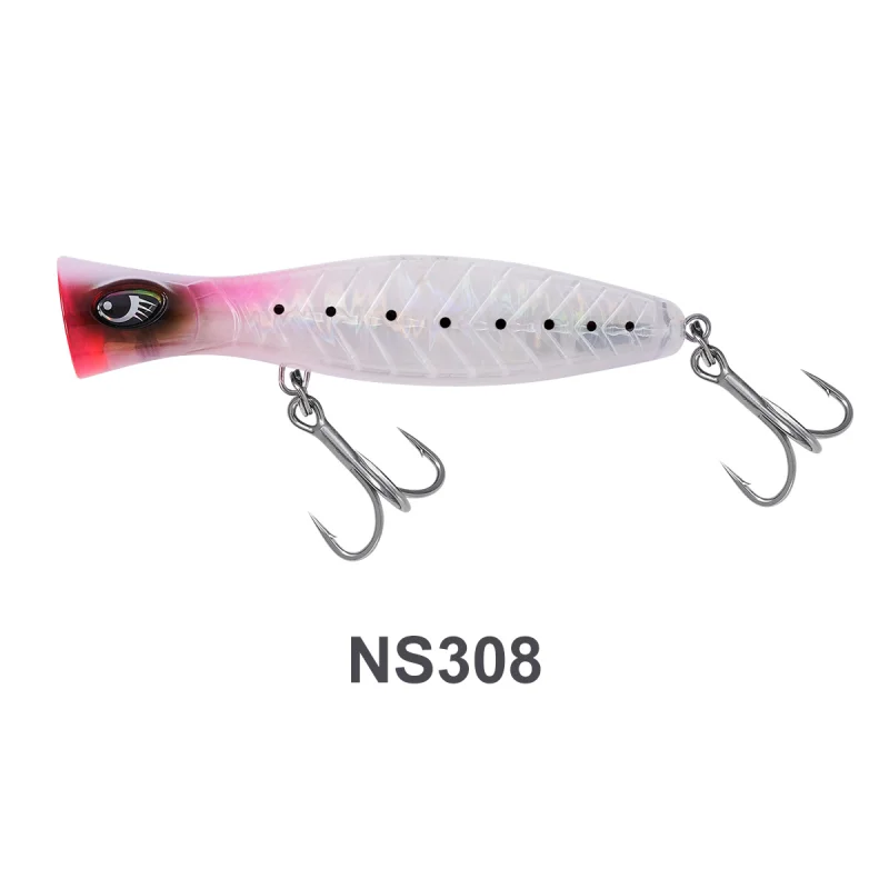 NS308